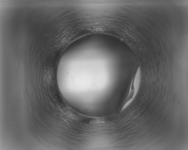 X0000052960747200507300111