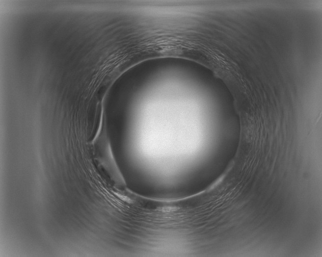 X0000052960748200507300111