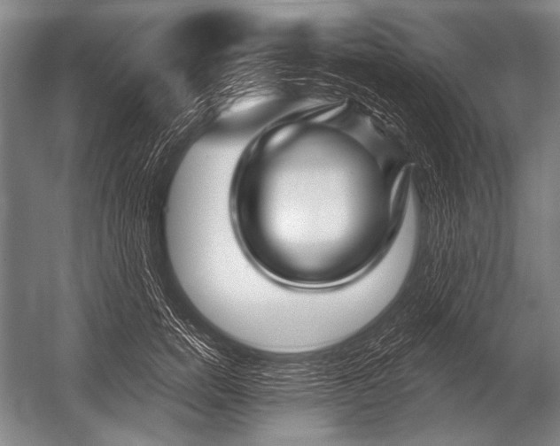 X0000052960750200507300111