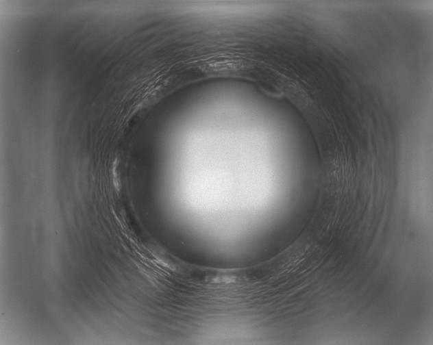 X0000052960751200507300111