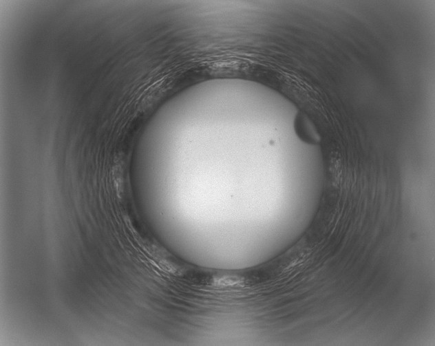 X0000052960753200507300111