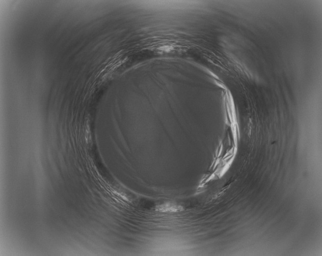 X0000052960754200507300111