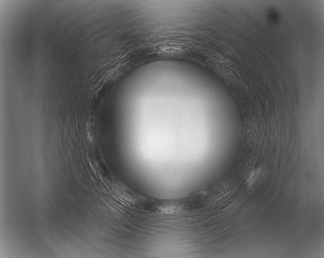 X0000052960755200507300111