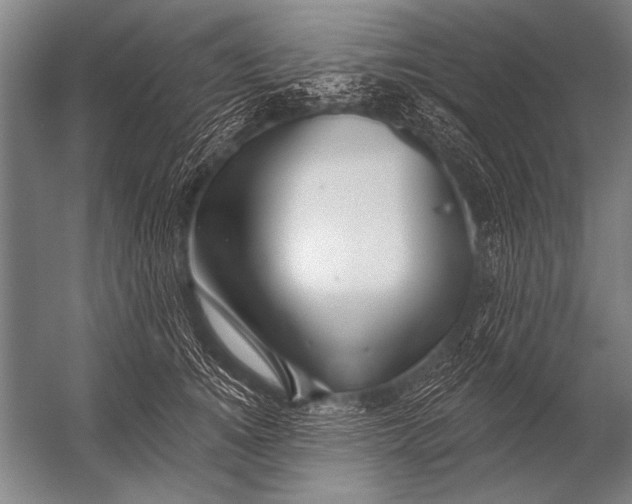 X0000052960756200507300111