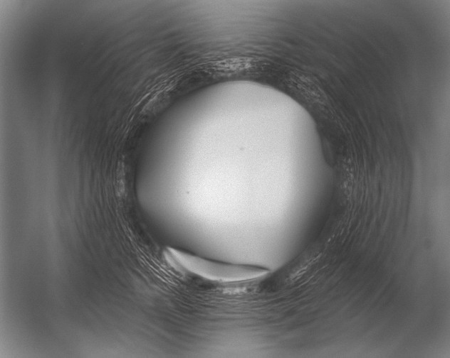 X0000052960758200507300111