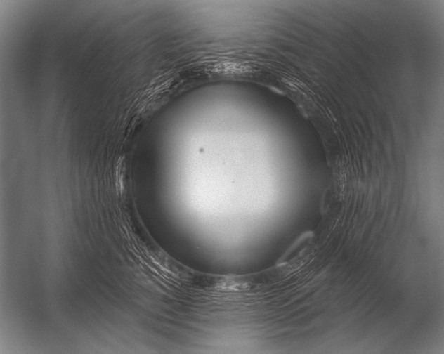 X0000052960760200507300111
