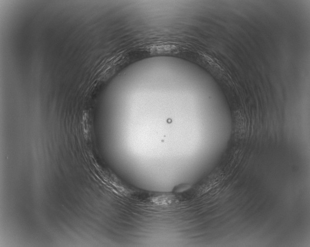 X0000052960761200507300111