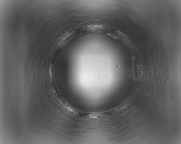 X0000052960762200507300111