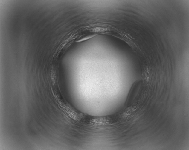 X0000052960763200507300111