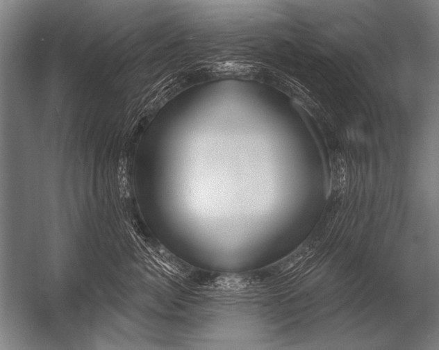 X0000052960764200507300111