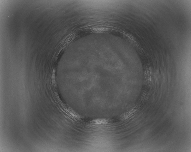 X0000052960765200507300111
