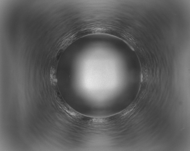 X0000052960766200507300111