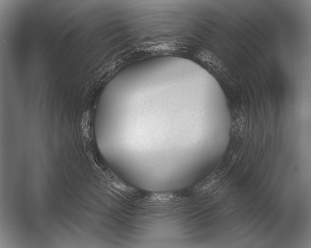 X0000052960767200507300111