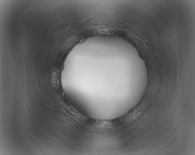 X0000052960768200507300111