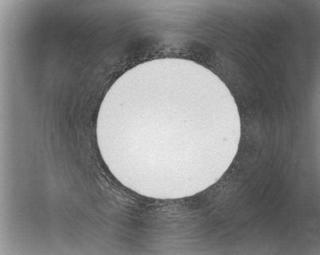 X0000052960769200507300110