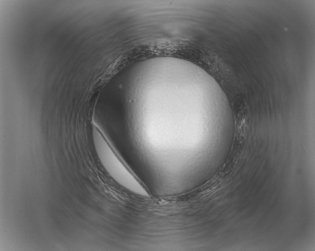 X0000052960772200507300110