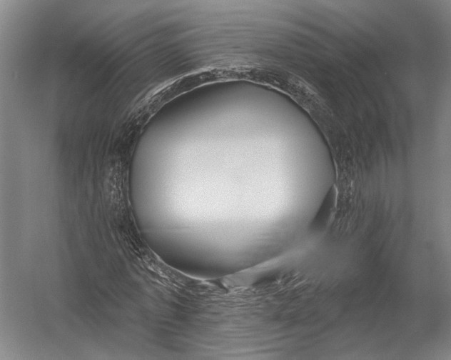 X0000052960773200507300110