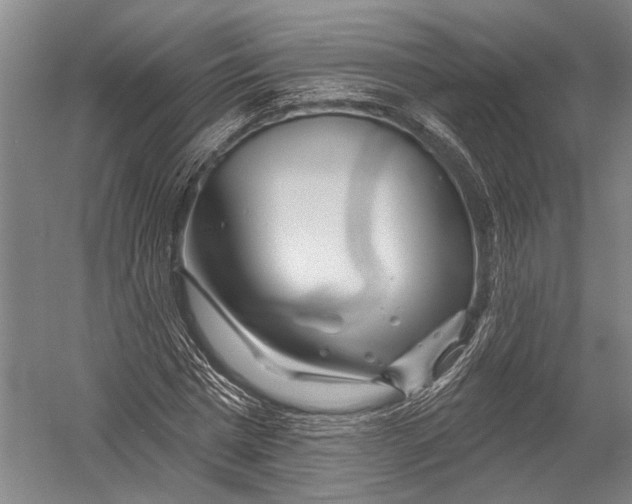 X0000052960777200507300110