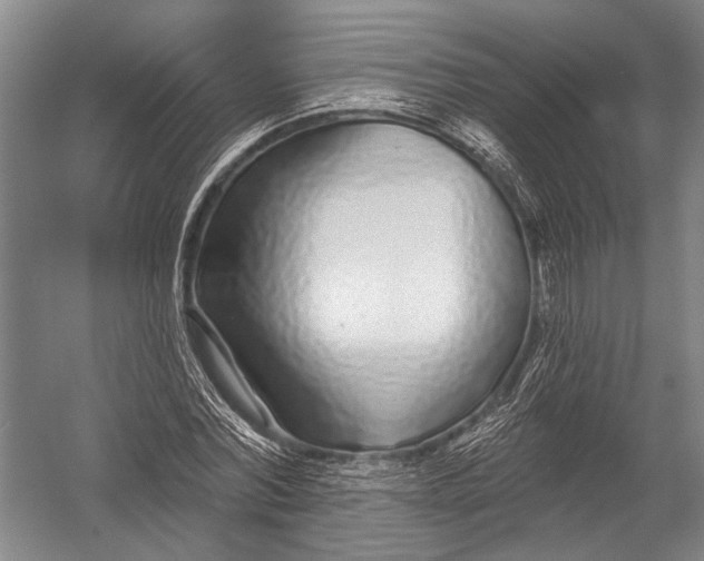 X0000052960780200507300110