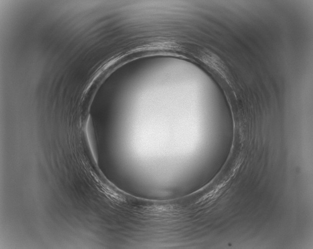 X0000052960781200507300110