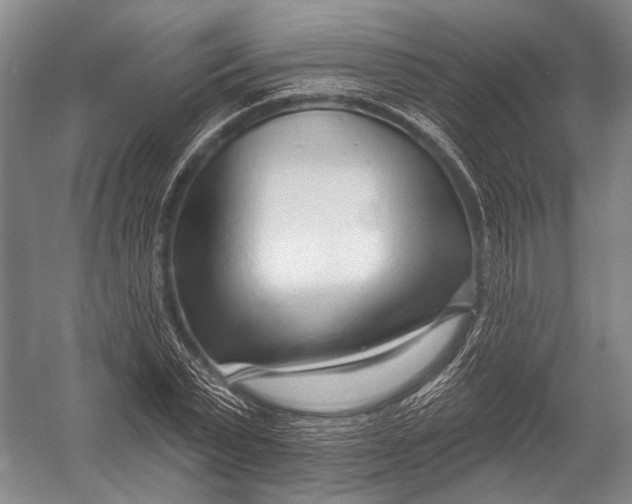 X0000052960783200507300110