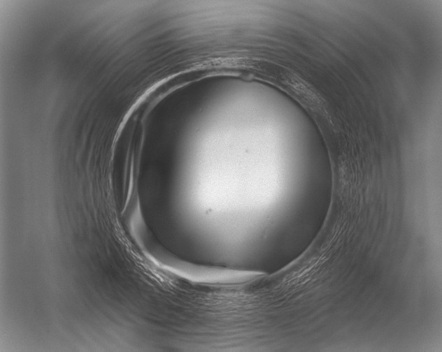 X0000052960784200507300110