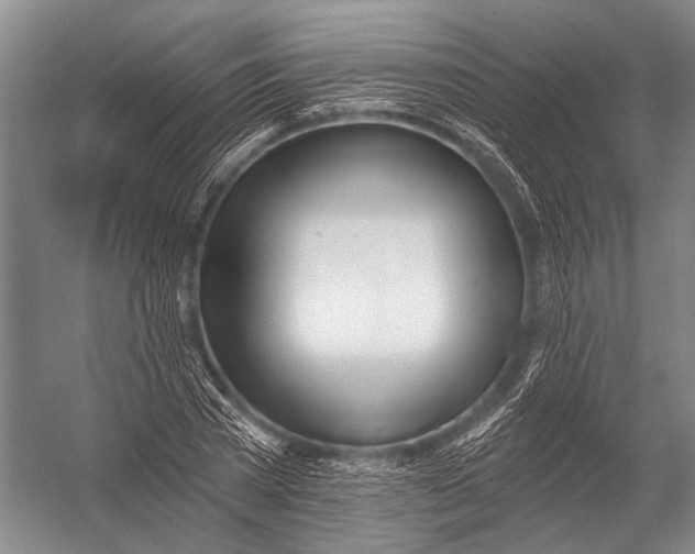 X0000052960785200507300110