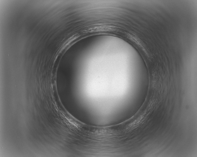 X0000052960786200507300110