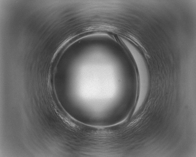 X0000052960788200507300110