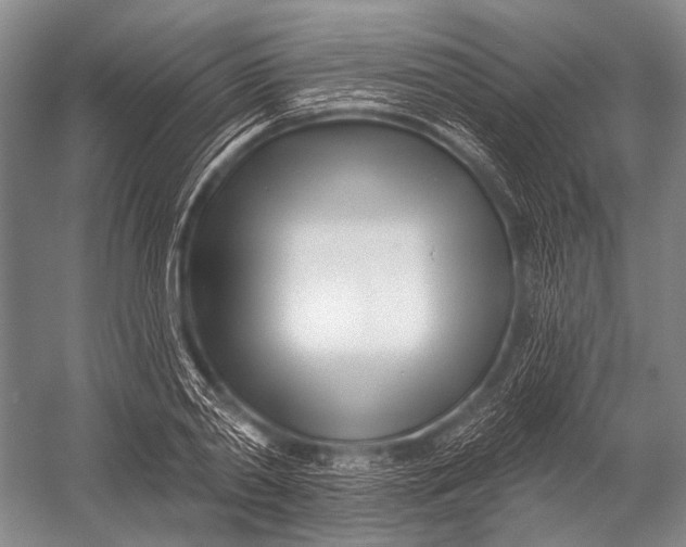 X0000052960790200507300110