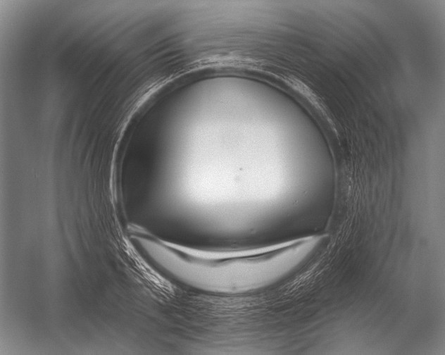 X0000052960791200507300110