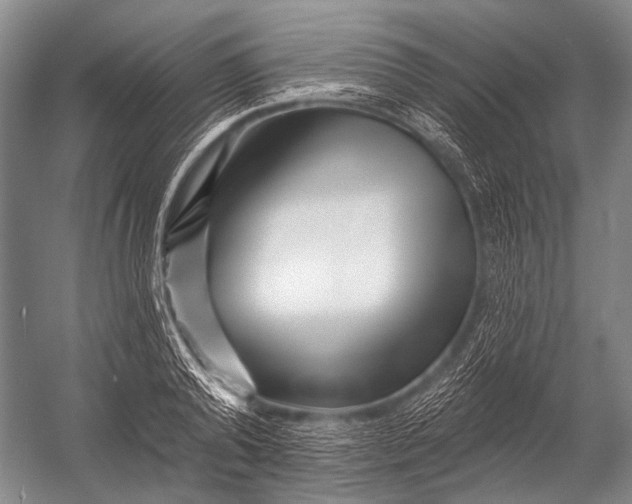 X0000052960792200507300110