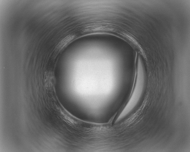 X0000052960793200507300110