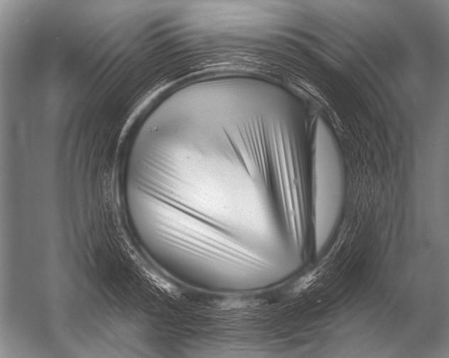 X0000052960796200507300110