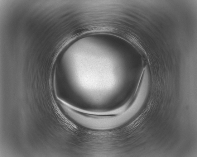 X0000052960797200507300110