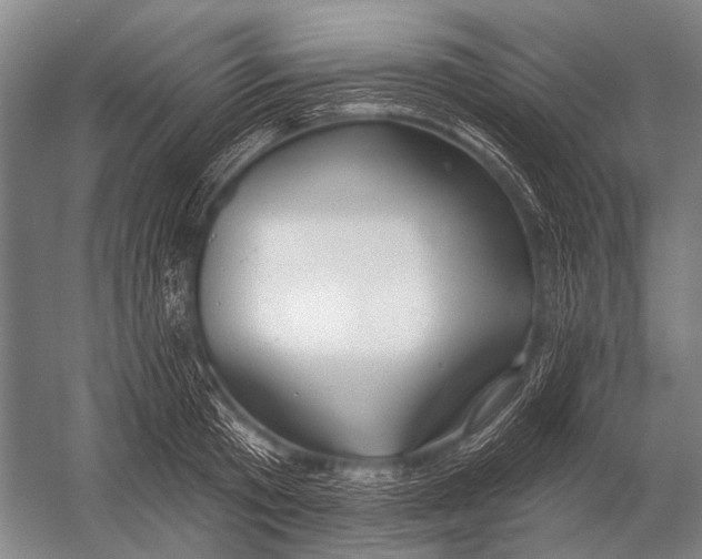 X0000052960801200507300110