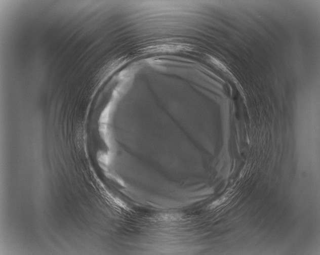 X0000052960802200507300110