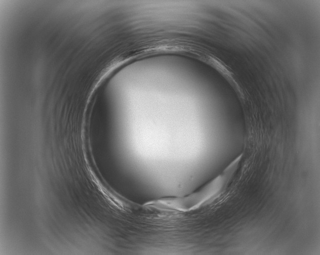 X0000052960803200507300110