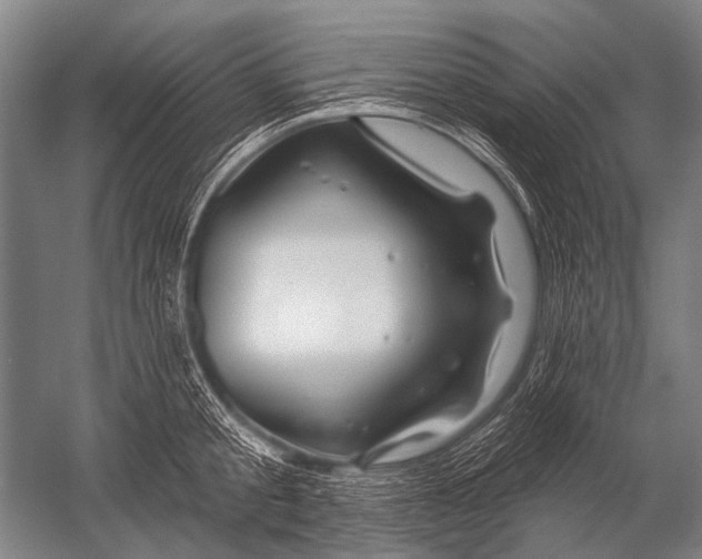 X0000052960805200507300110