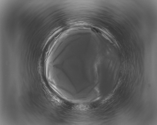 X0000052960806200507300110