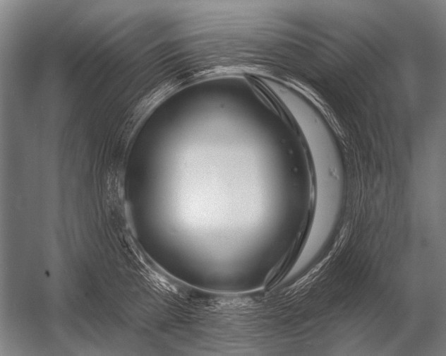 X0000052960809200507300109