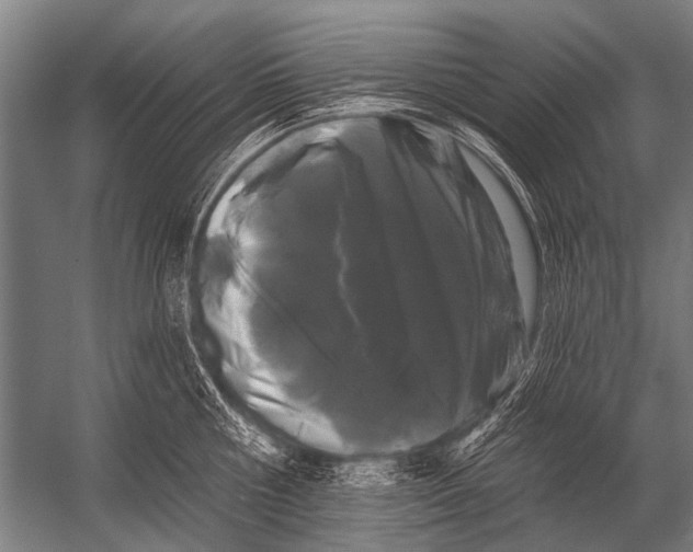 X0000052960810200507300109