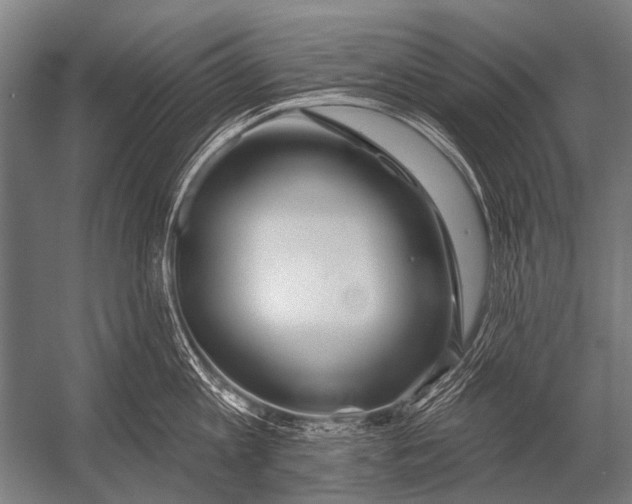X0000052960813200507300109