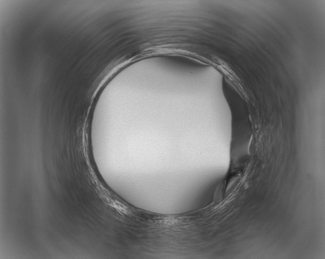 X0000052960814200507300109