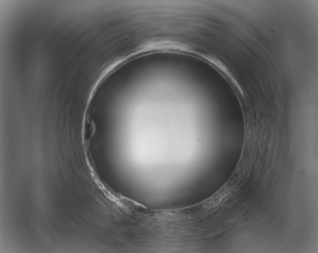 X0000052960815200507300109