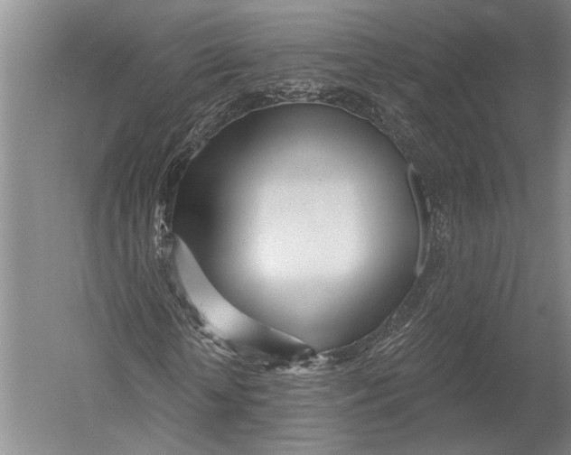 X0000052960818200507300109