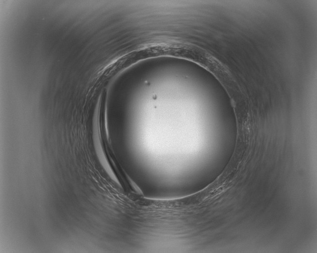 X0000052960822200507300109