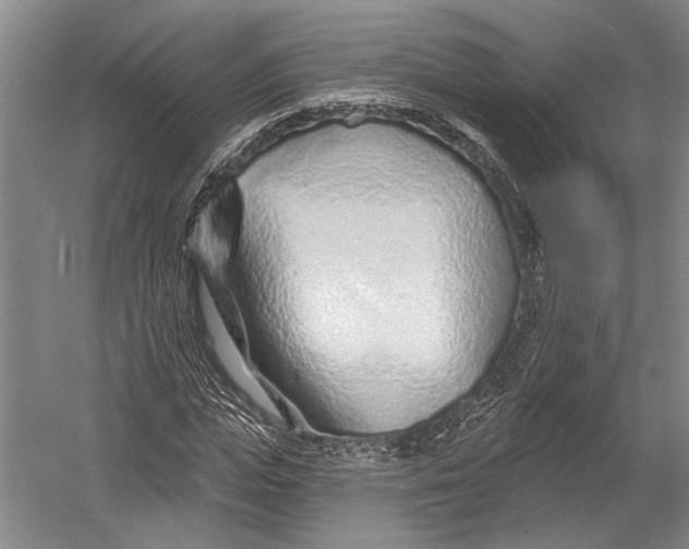X0000052960823200507300109