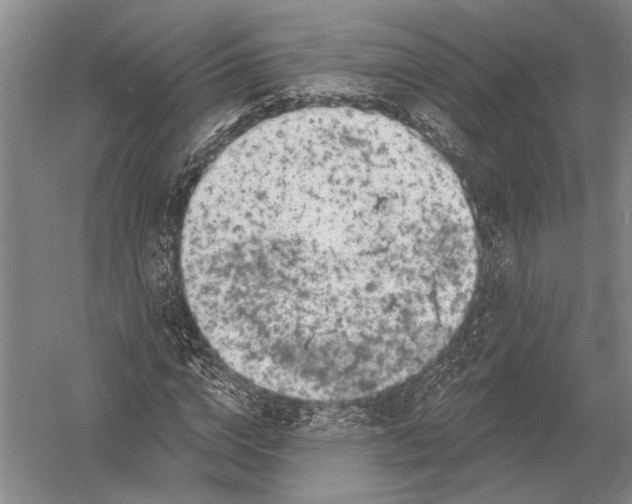 X0000052960824200507300109