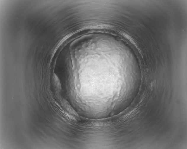 X0000052960829200507300109